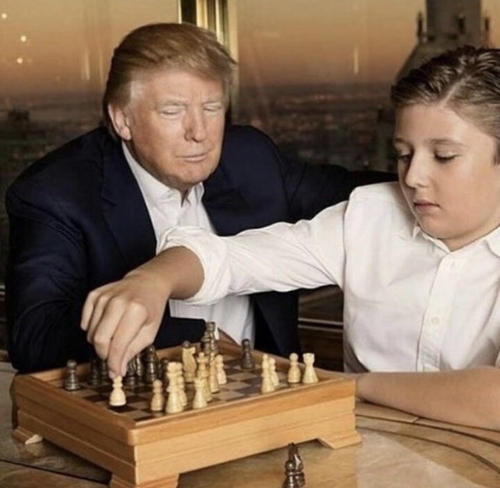 trump chess baron