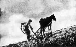 Collectivized Farming