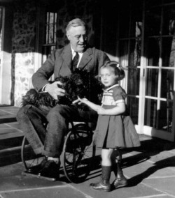 Roosevelt Wheelchair