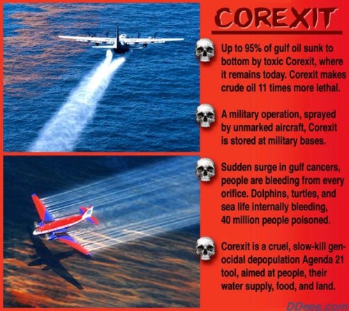 corexit oil spill