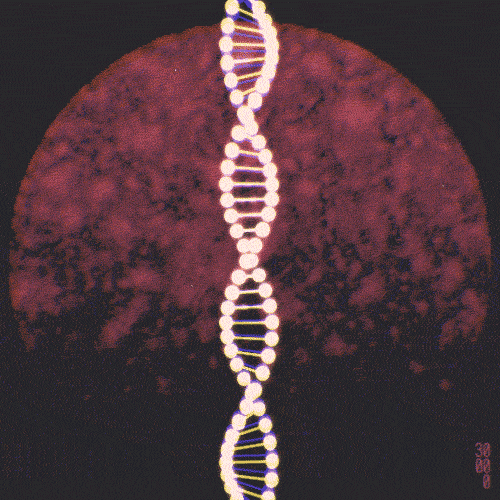 Double Helix Human Genome Project