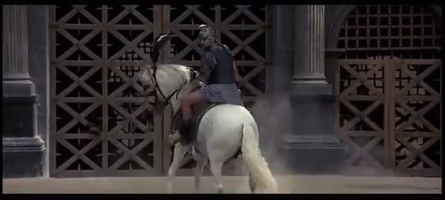 Gladiator 2000 White Horse
