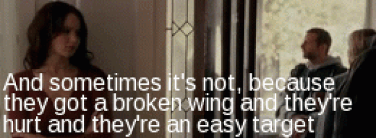 bird broken wing