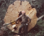 Ned Lumberjack