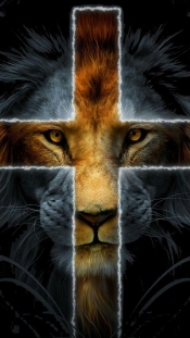 lion of judah