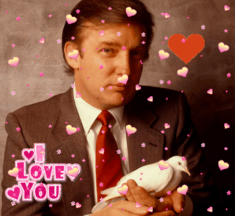 Trump Bird Love