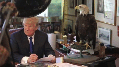 Trump Bird