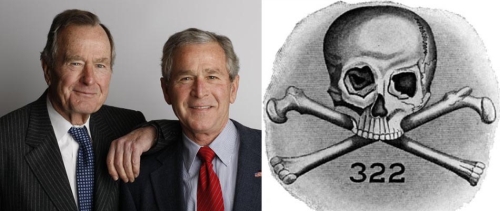 skull bones bush