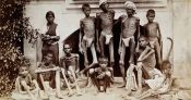 bengal famine