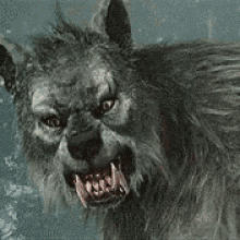werewolves of london