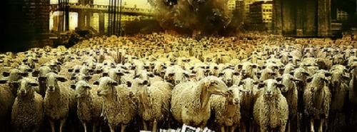 Sheep shepherd