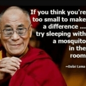 dalai lama quote