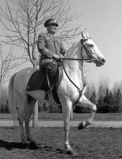 Tito White Horse