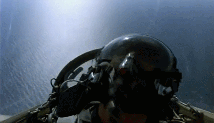 Top Gun Bird