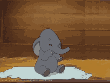 Elephant Cry