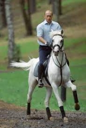 putin white horse