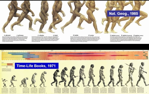 space evolution size